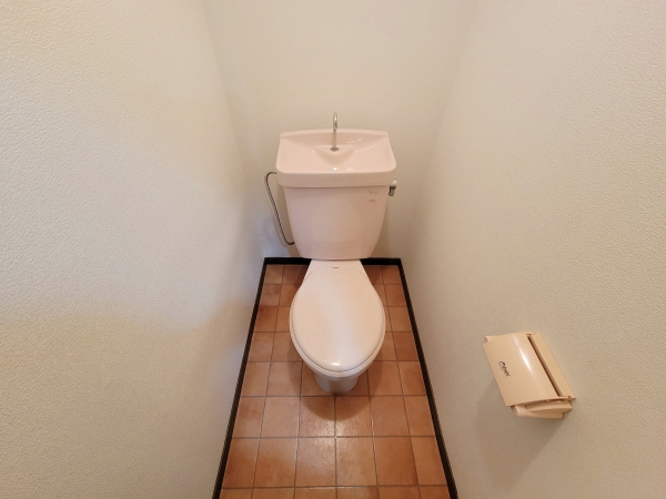 その他写真8