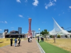 ワコーレディアルクス元町｜神戸市中央区栄町通（神戸市営地下鉄海岸線みなと元町駅）のマンションその他4